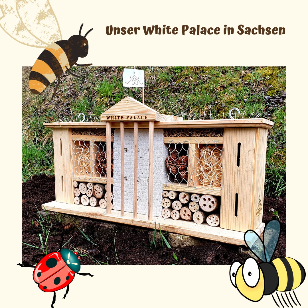Rušné včely v Bílém paláci naší slévárny